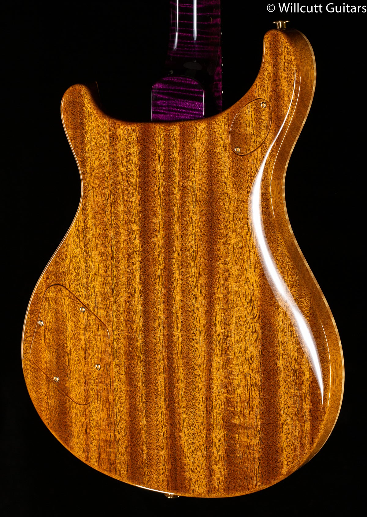 PRS Private Stock 09881 McCarty 594 Midnight Orchid Glow Birds in Flight (327)