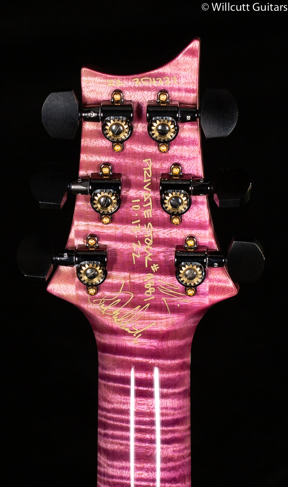 PRS Private Stock 09881 McCarty 594 Midnight Orchid Glow Birds in Flight (327)