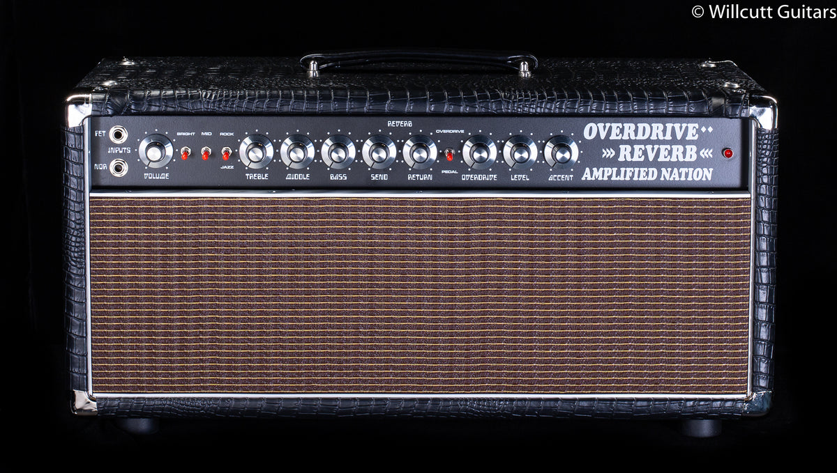 Amplified Nation Overdrive Reverb 50w Head Black Croc Tolex