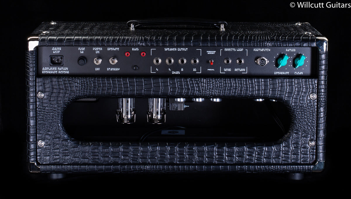 Amplified Nation Overdrive Reverb 50w Head Black Croc Tolex