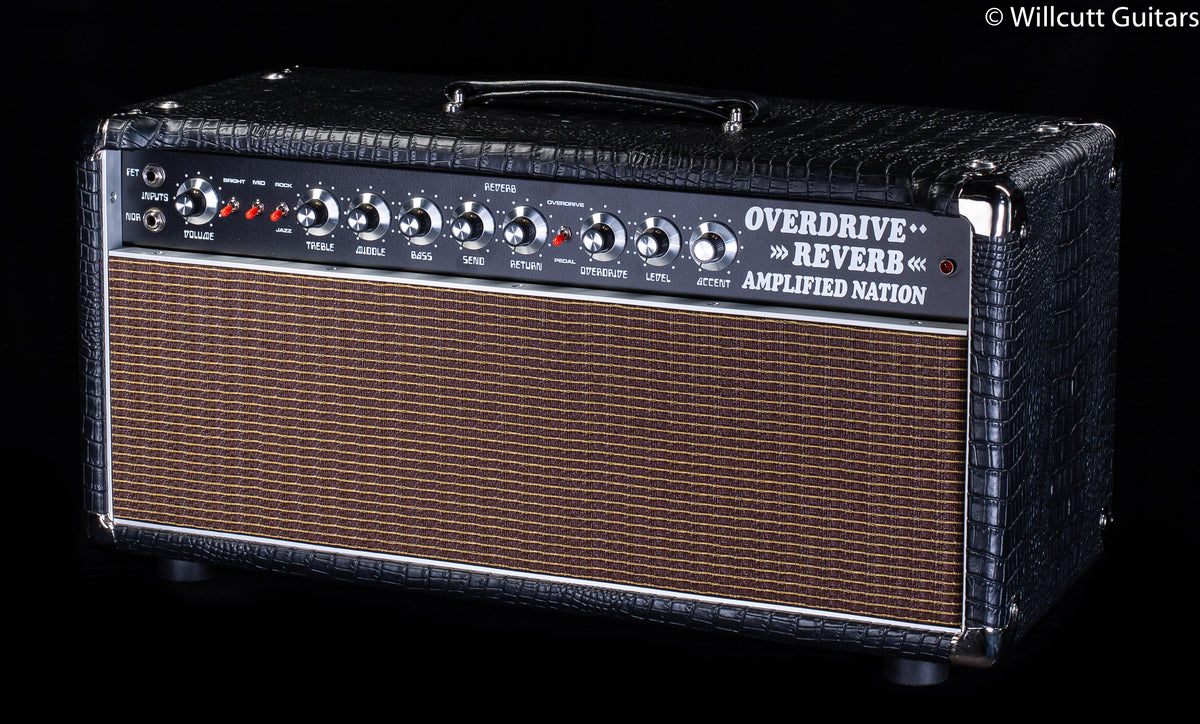 Amplified Nation Overdrive Reverb 50w Head Black Croc Tolex
