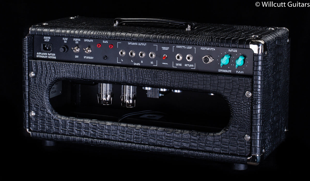 Amplified Nation Overdrive Reverb 50w Head Black Croc Tolex