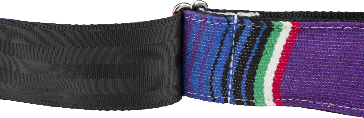 Fender 2&quot; Serape Strap