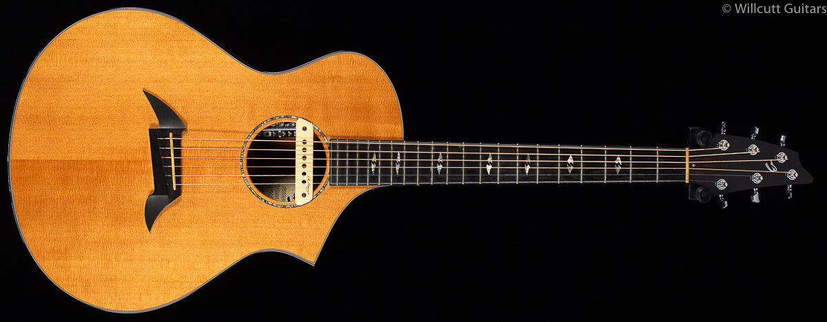 Breedlove Fusion Special Edition New Old Stock (090)