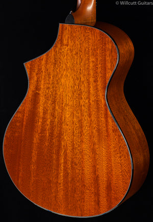 Breedlove Fusion Special Edition New Old Stock (090)