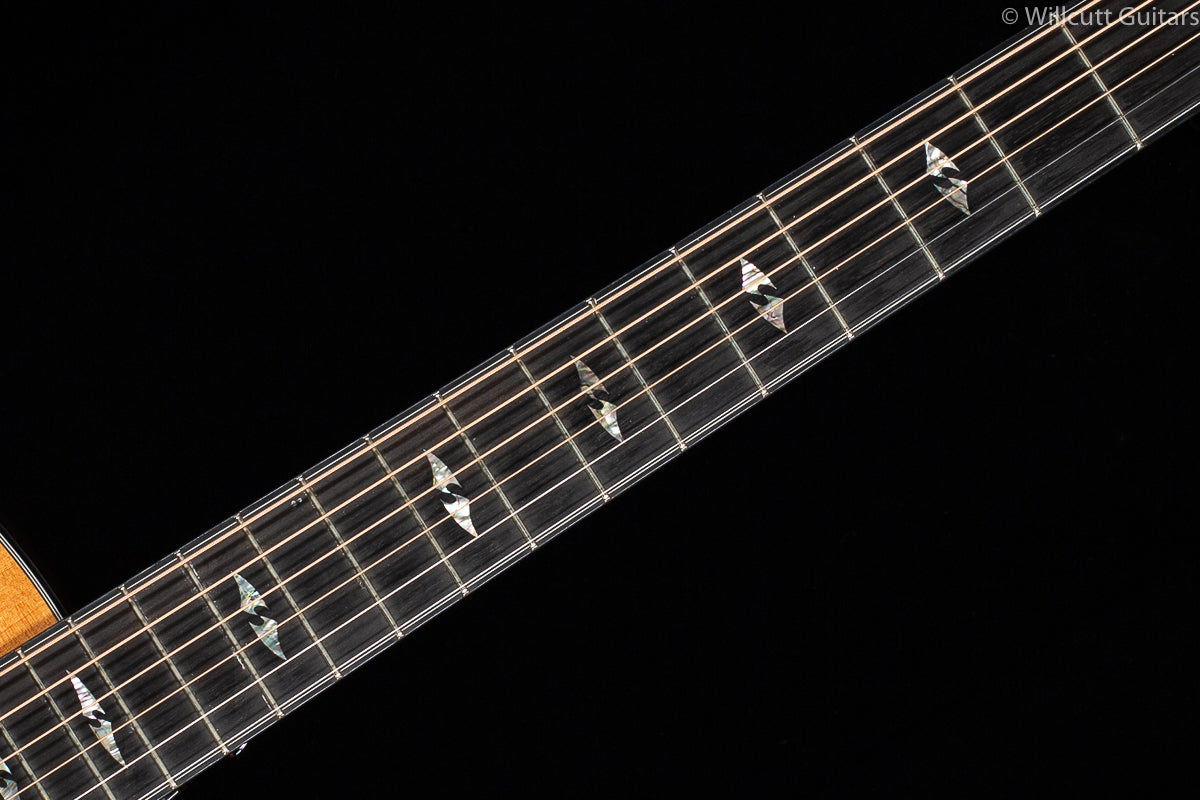 Breedlove Fusion Special Edition New Old Stock (090)