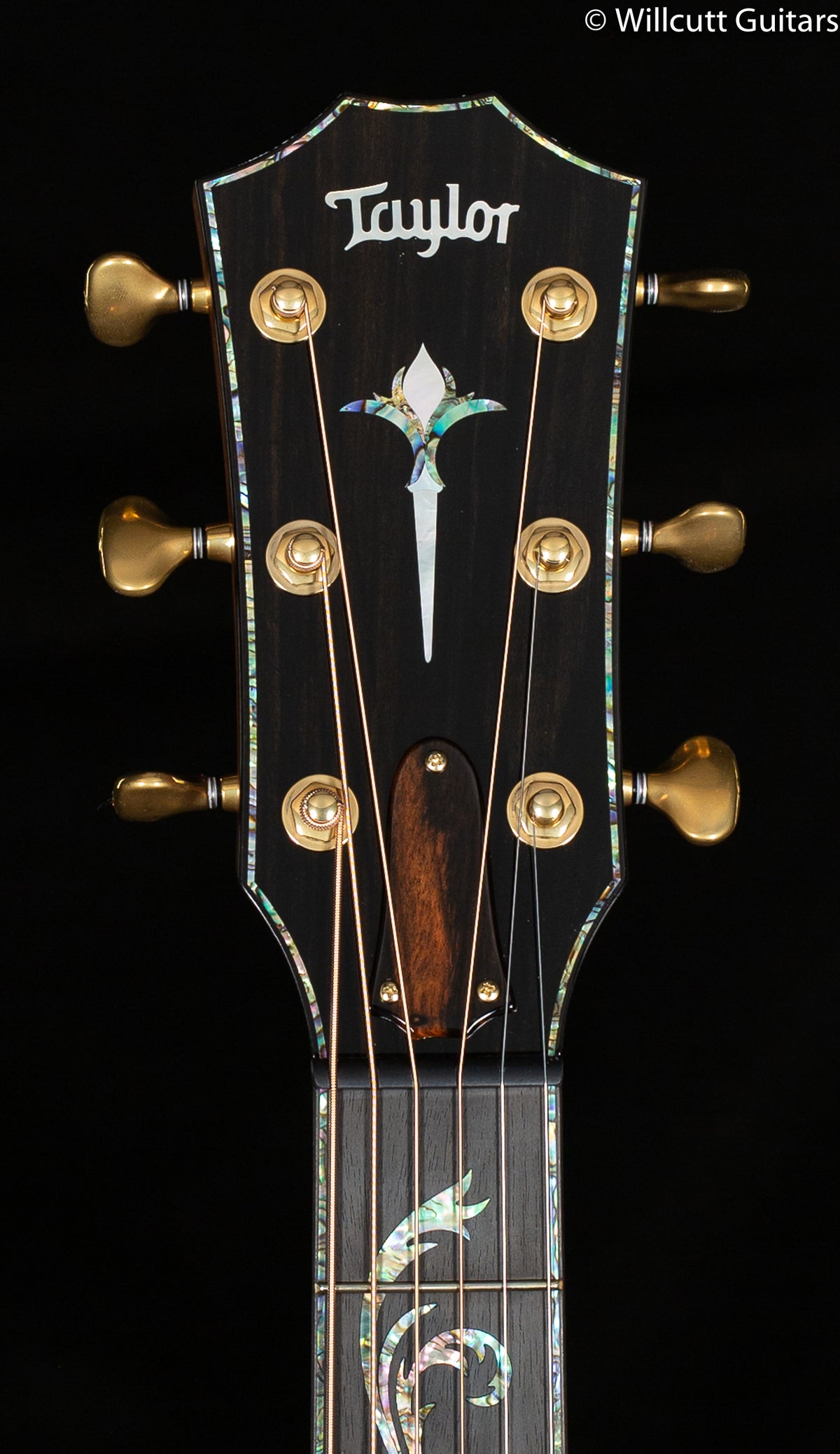 Taylor Presentation Series Grand Auditorium Sinker Redwood Cutaway V-Class