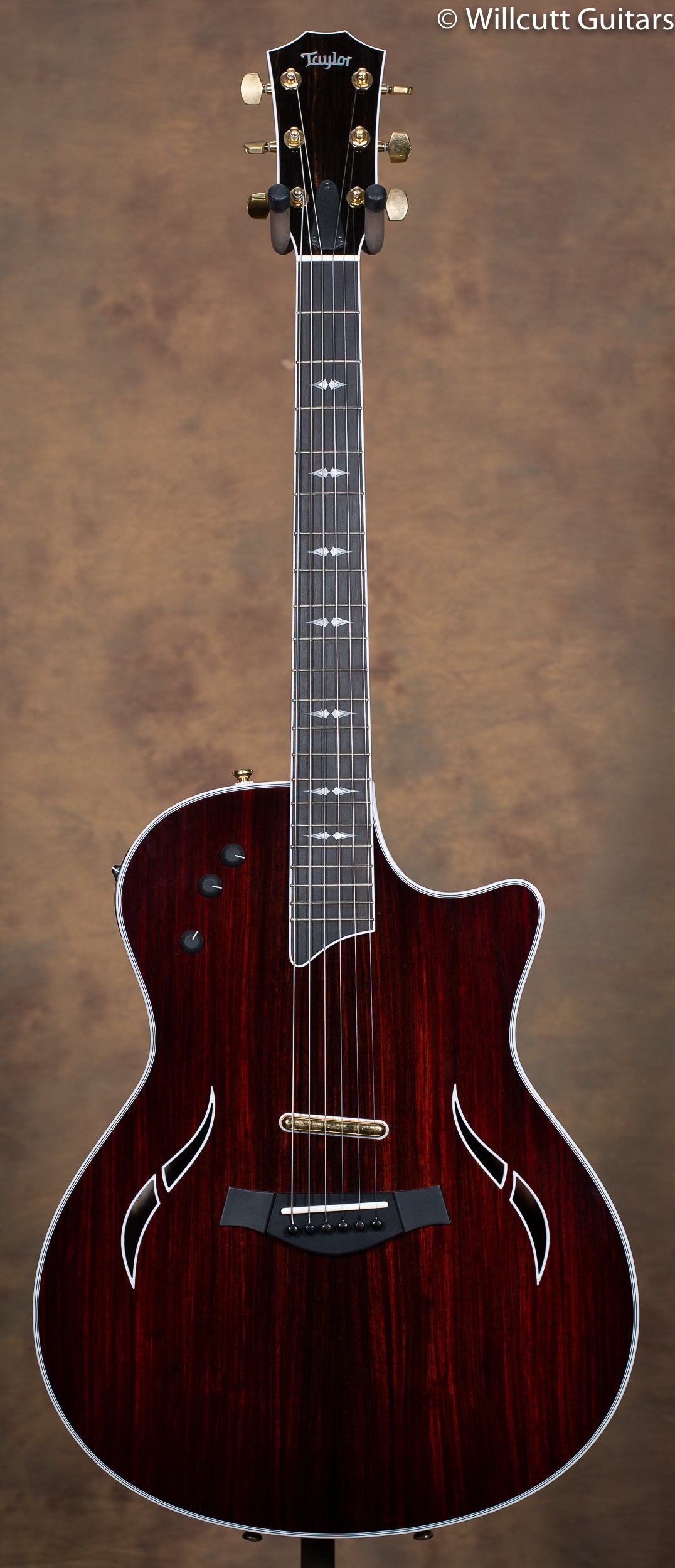 2012 Taylor T5C3 Custom Cocobolo