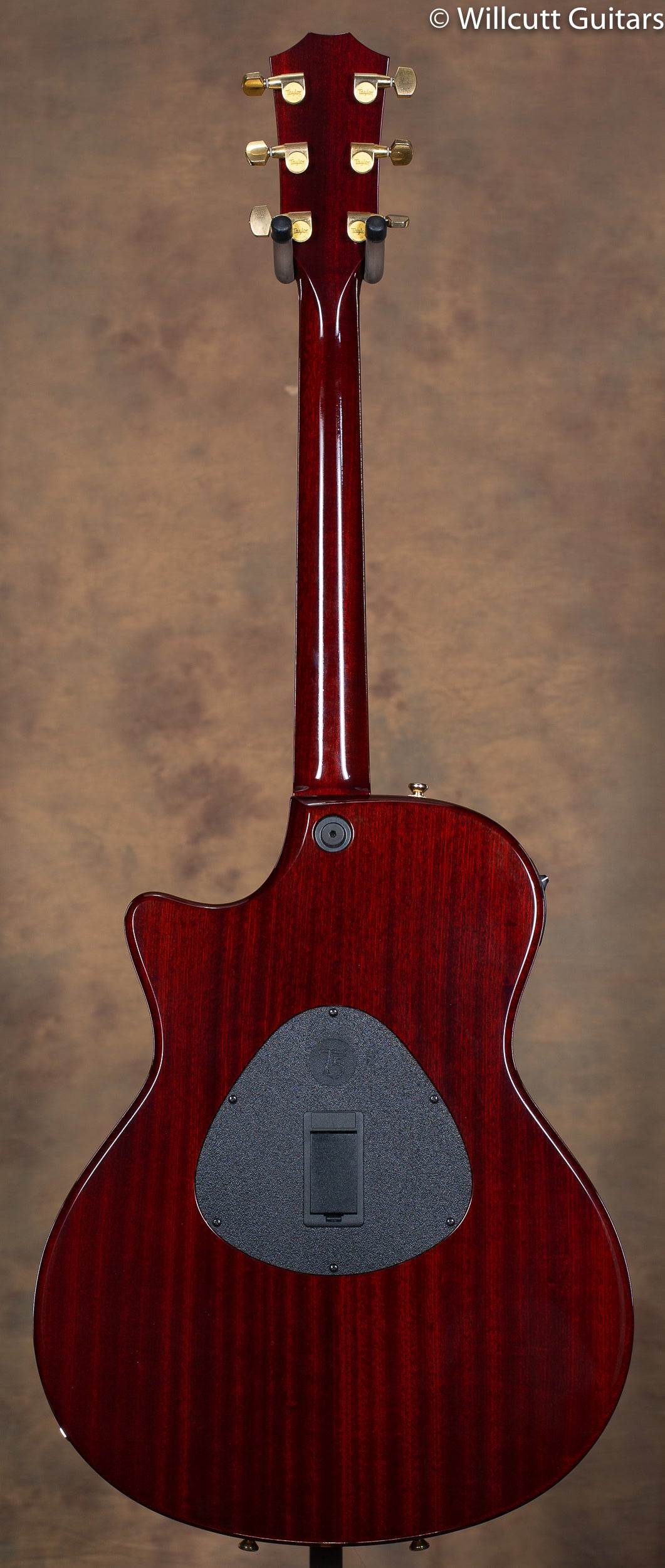 2012 Taylor T5C3 Custom Cocobolo