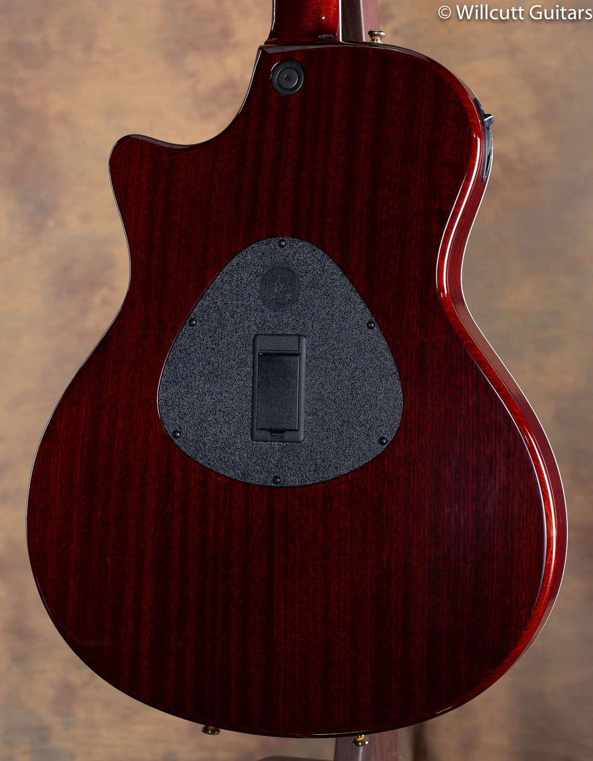 2012 Taylor T5C3 Custom Cocobolo