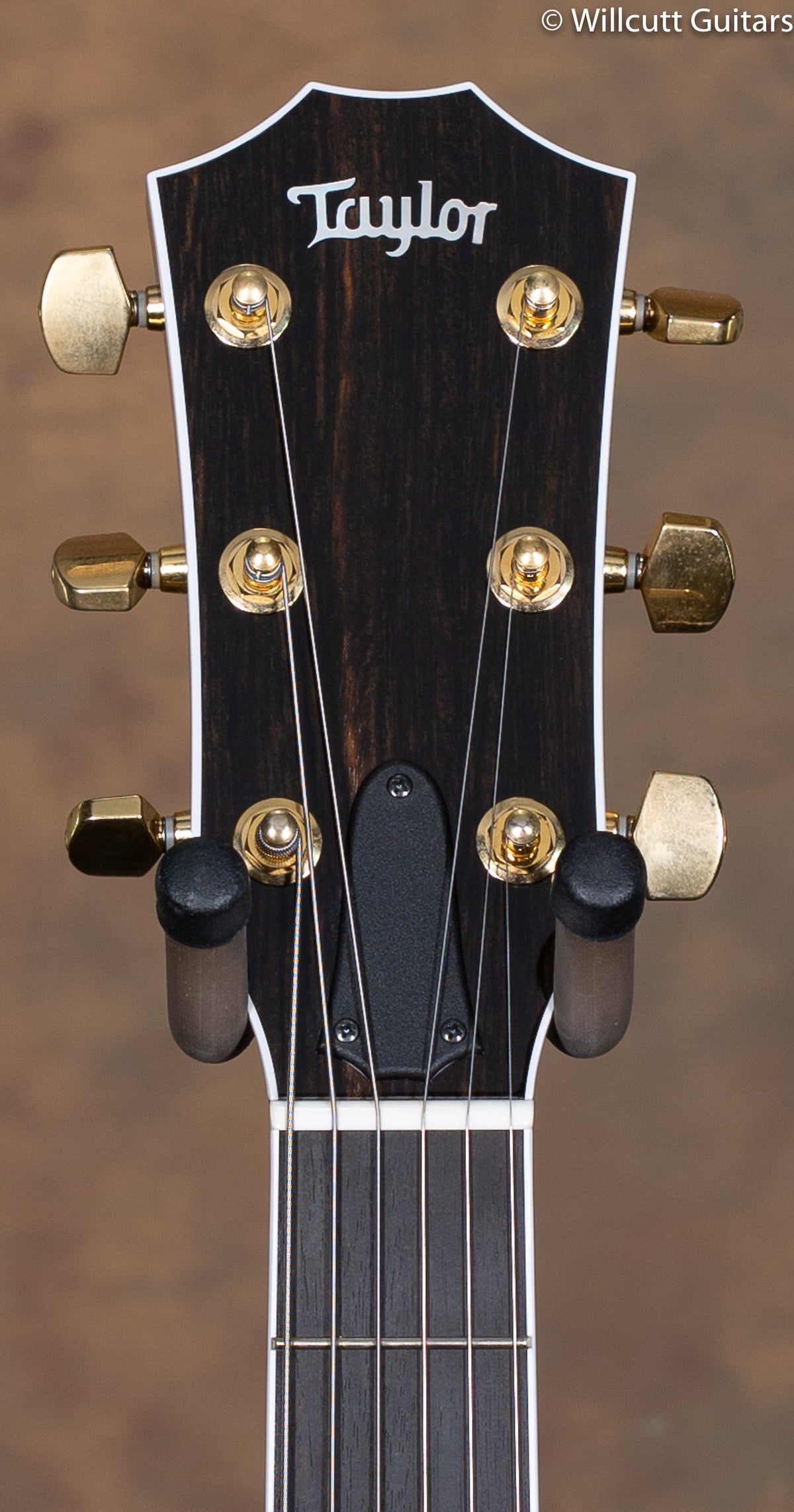 2012 Taylor T5C3 Custom Cocobolo