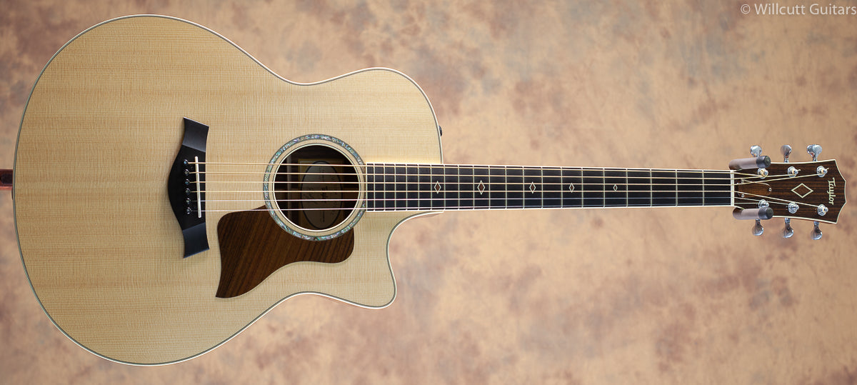 Taylor BTO 10706 Custom GS USED