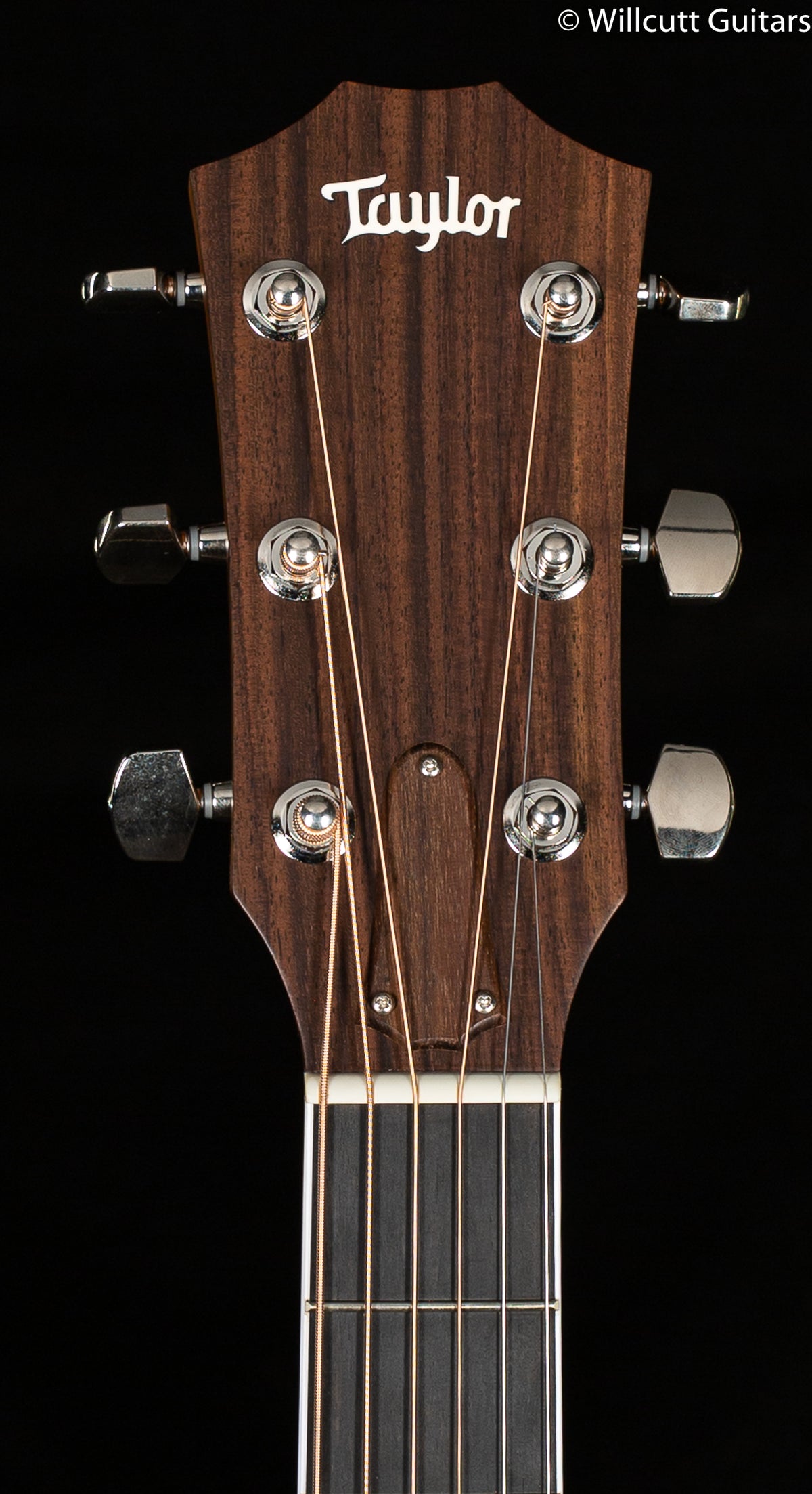 2016 NOS Taylor 410 R Dreadnought