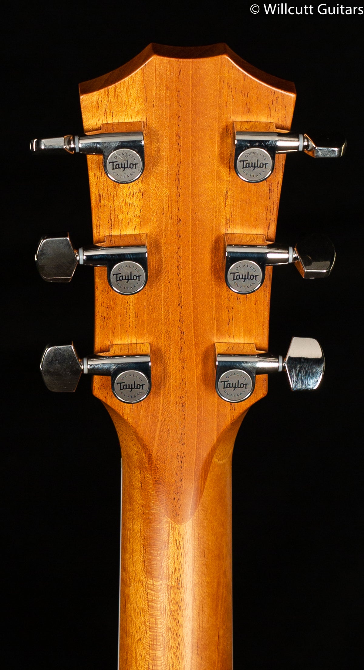 2016 NOS Taylor 410 R Dreadnought