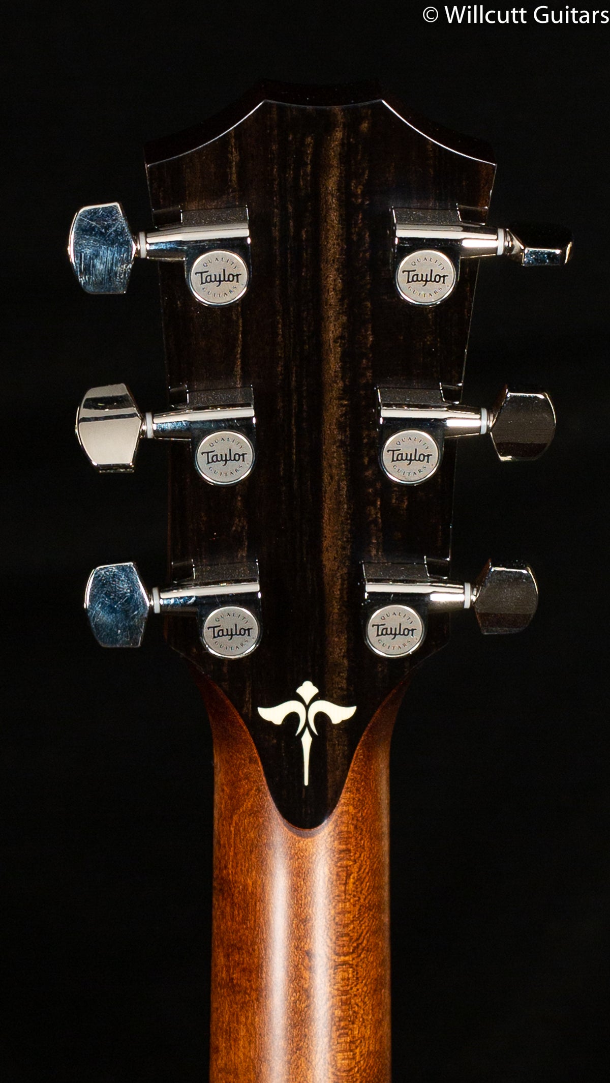 Taylor 614ce V-Class Bracing