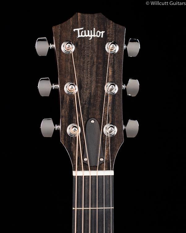 Taylor 416ce TSB NAMM LTD