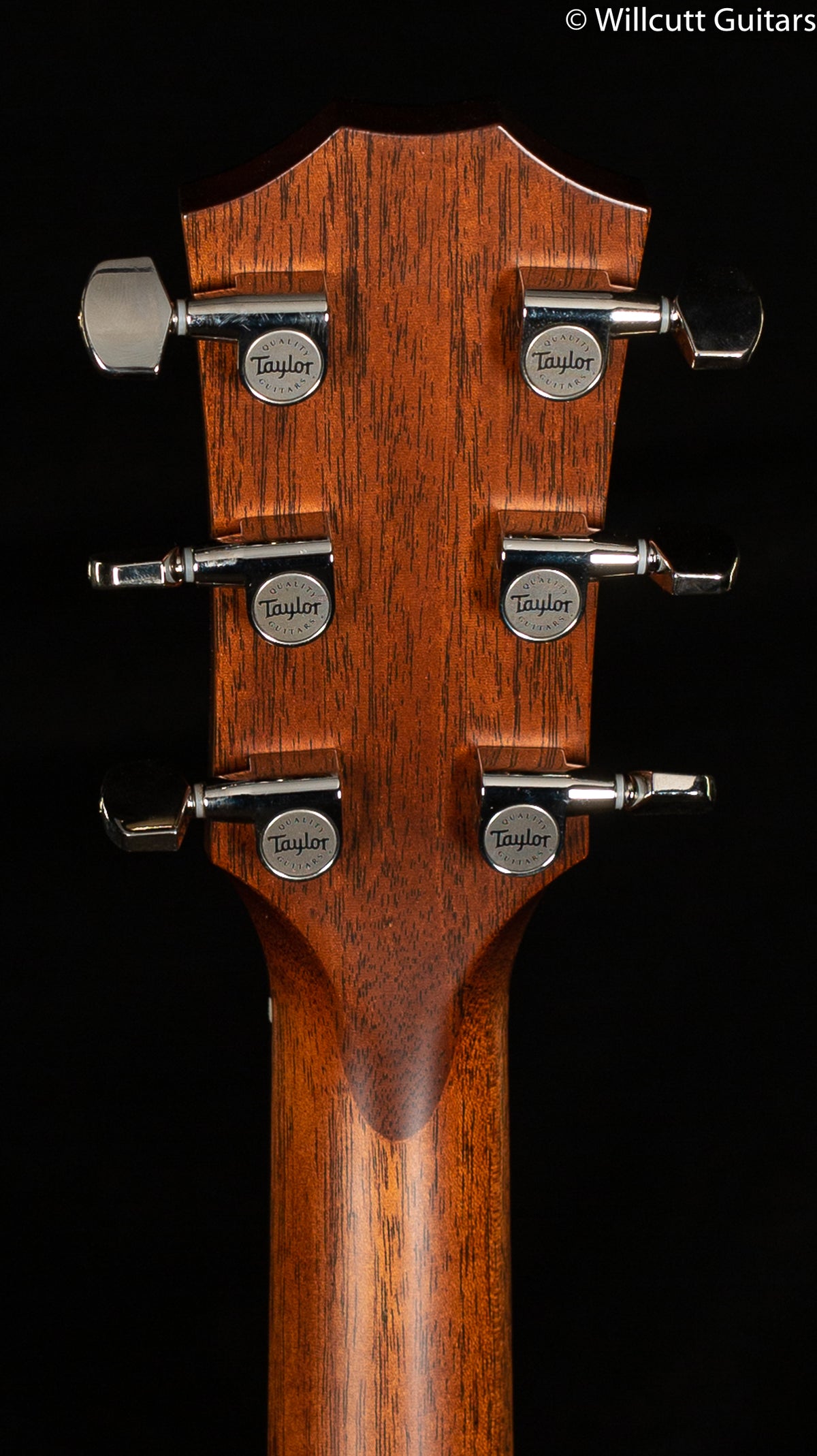 2016 NOS Taylor 514ce Grand Auditorium