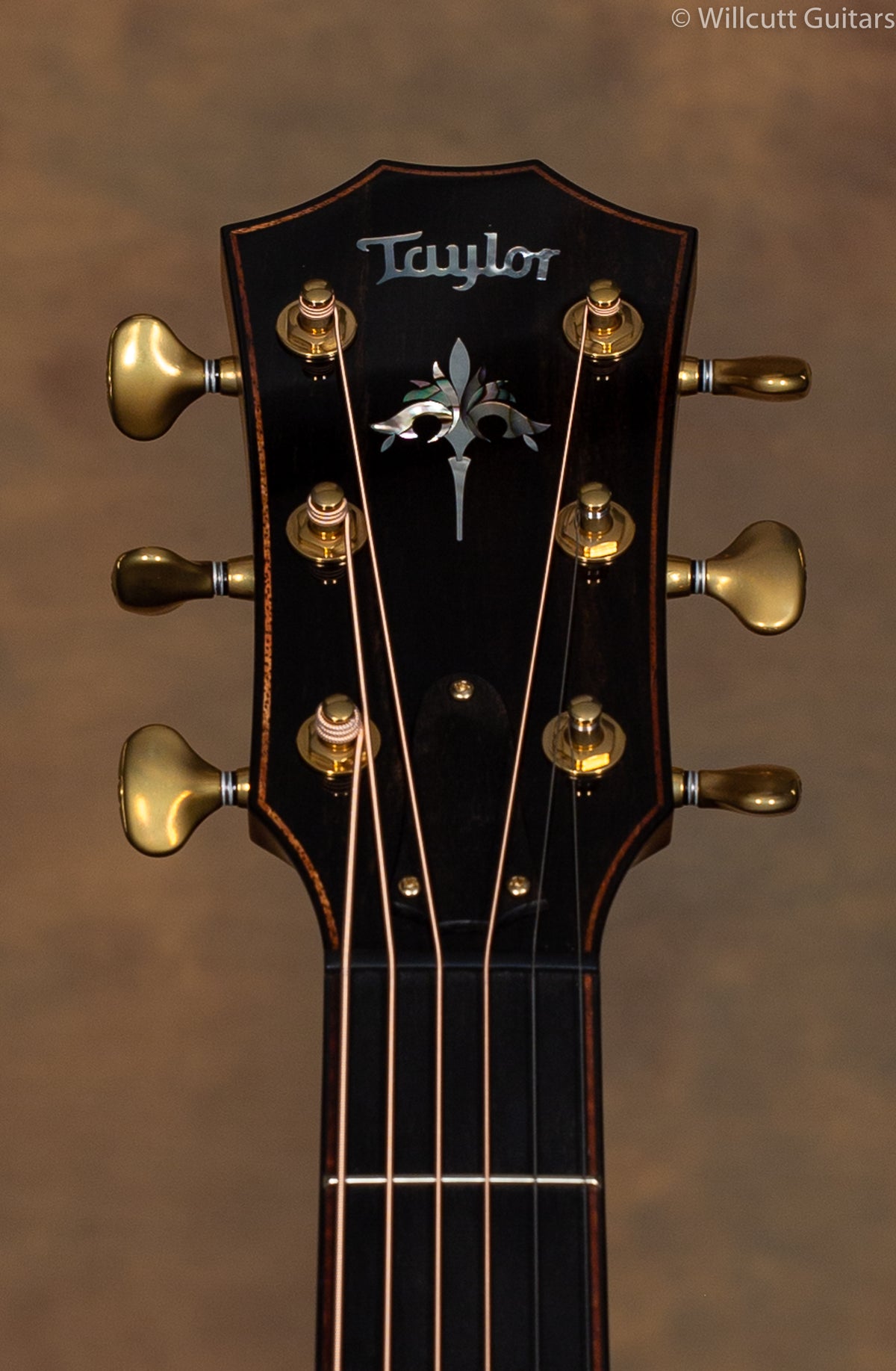 Taylor 914ce LTD Sinker Redwood V-Class USED