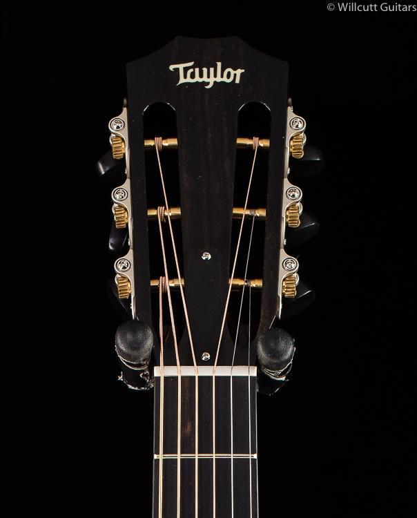 Taylor 612e 12 Fret (031)