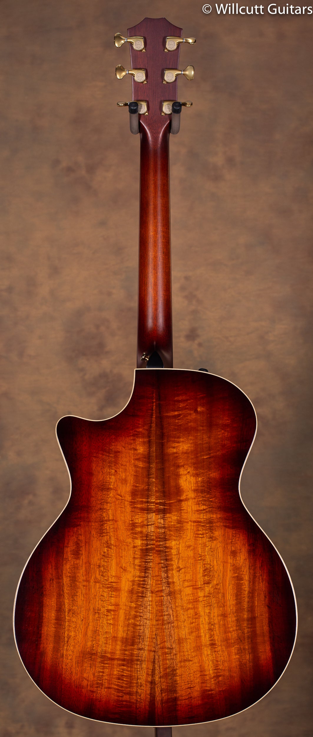 2019 Taylor K24ce V Class USED