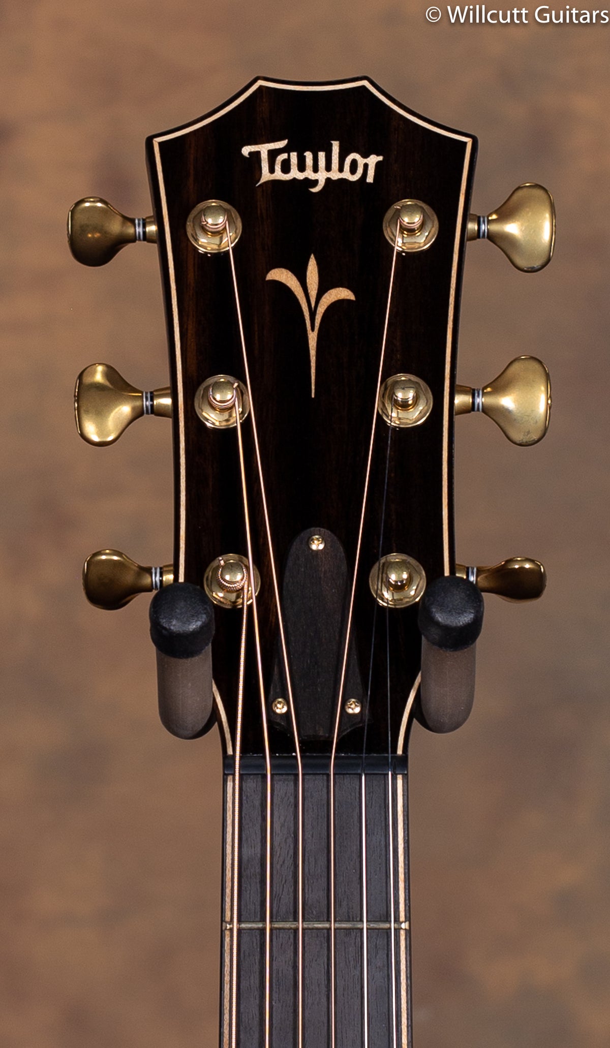 2019 Taylor K24ce V Class USED