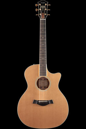 Taylor Willcutt Acoustic Suites Special Edition GAce Cocobolo (130)