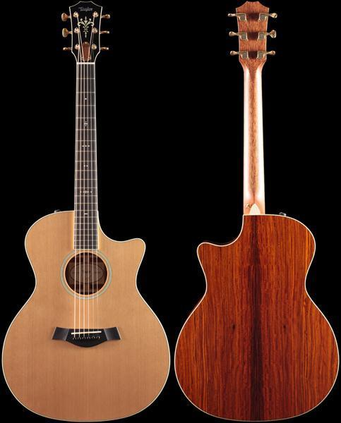 Taylor Willcutt Acoustic Suites Special Edition GAce Cocobolo (130)
