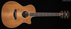 Taylor Willcutt Acoustic Suites Special Edition GAce Cocobolo (131)