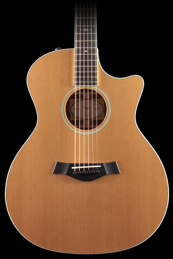 Taylor Willcutt Acoustic Suites Special Edition GAce Cocobolo (134)