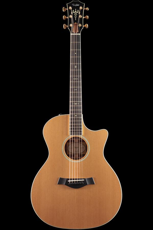 Taylor Willcutt Acoustic Suites Special Edition GAce Cocobolo (134)