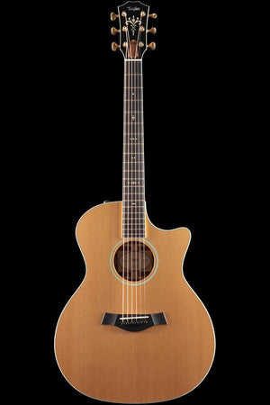 Taylor Willcutt Acoustic Suites Special Edition GAce Cocobolo (134)