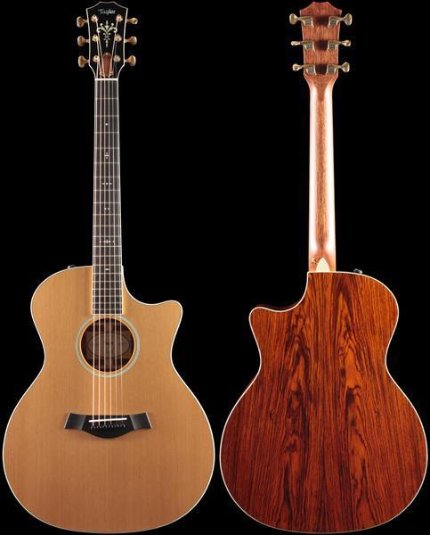 Taylor Willcutt Acoustic Suites Special Edition GAce Cocobolo (134)