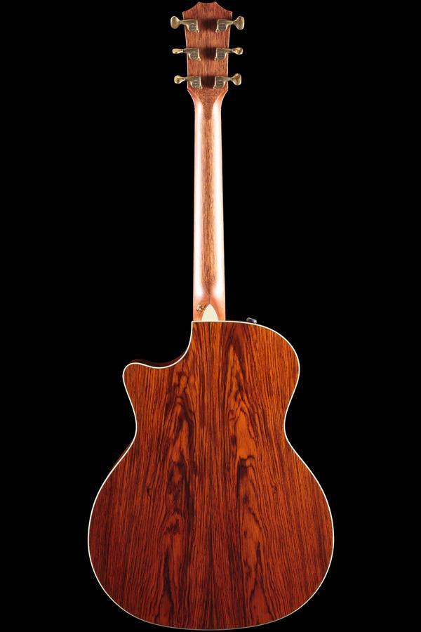 Taylor Willcutt Acoustic Suites Special Edition GAce Cocobolo (134)