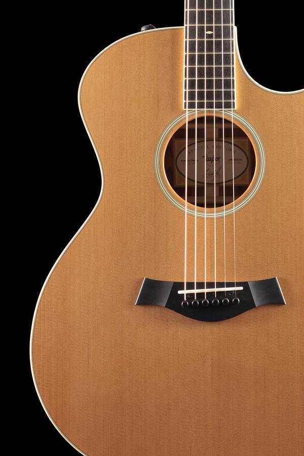Taylor Willcutt Acoustic Suites Special Edition GAce Cocobolo (134)