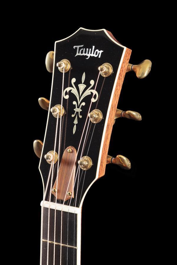 Taylor Willcutt Acoustic Suites Special Edition GAce Cocobolo (134)