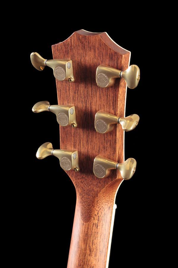 Taylor Willcutt Acoustic Suites Special Edition GAce Cocobolo (134)