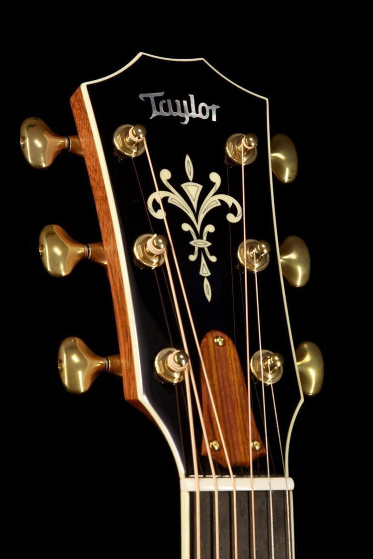 Taylor Willcutt Acoustic Suites Special Edition GAce Cocobolo (141)