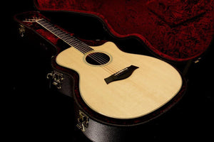 Taylor Willcutt Acoustic Suites Special Edition GAce Cocobolo (141)