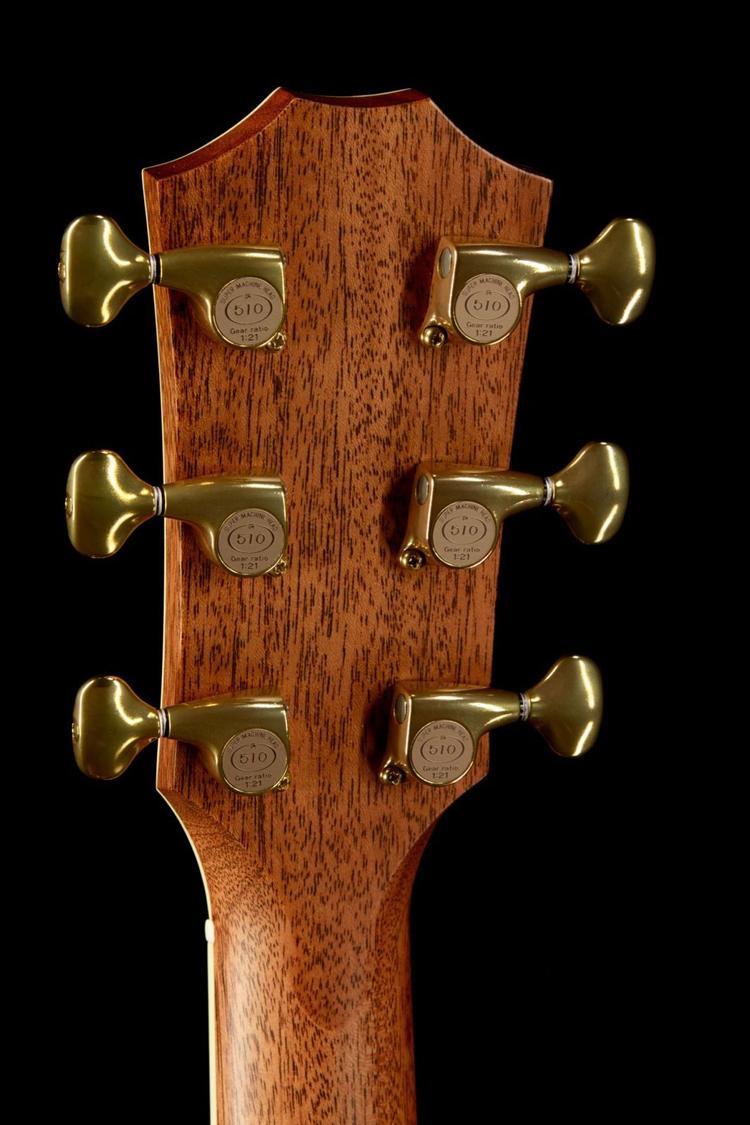 Taylor Willcutt Acoustic Suites Special Edition GAce Cocobolo (142)