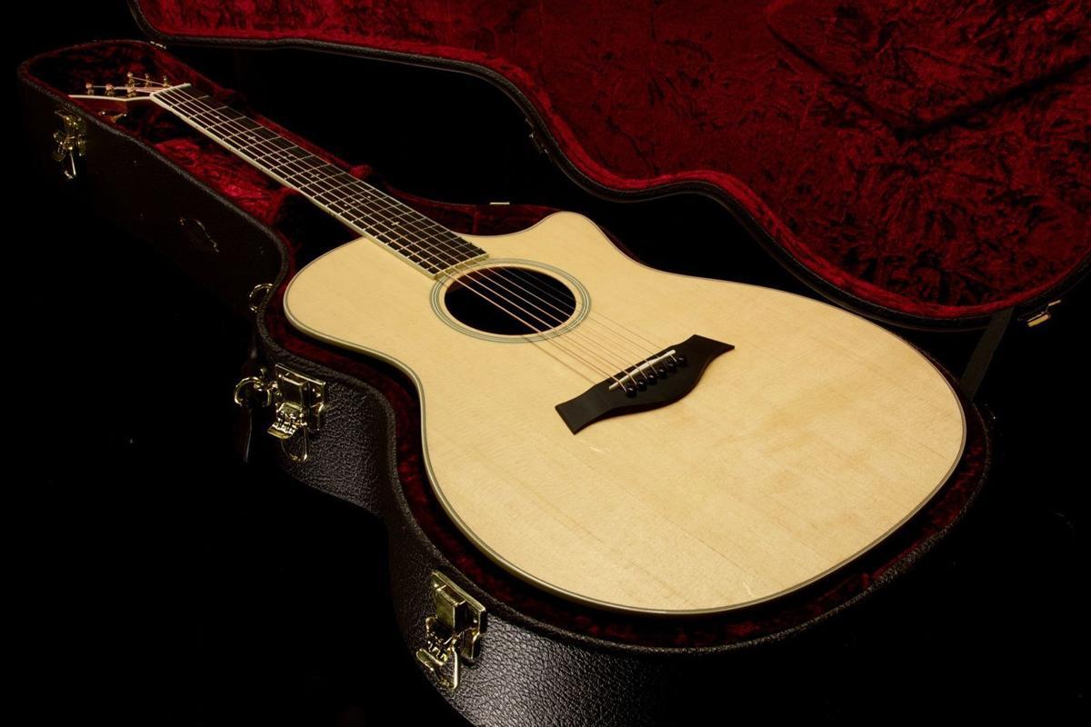 Taylor Willcutt Acoustic Suites Special Edition GAce Cocobolo (142)