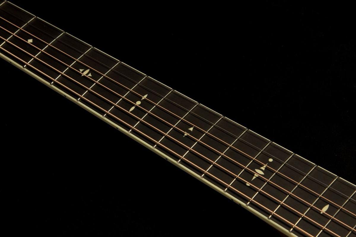 Taylor Willcutt Acoustic Suites Special Edition GAce Cocobolo (142)