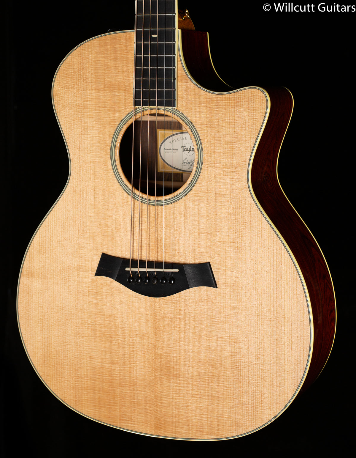 Taylor Willcutt Acoustic Suites Special Edition GAce Cocobolo (143)