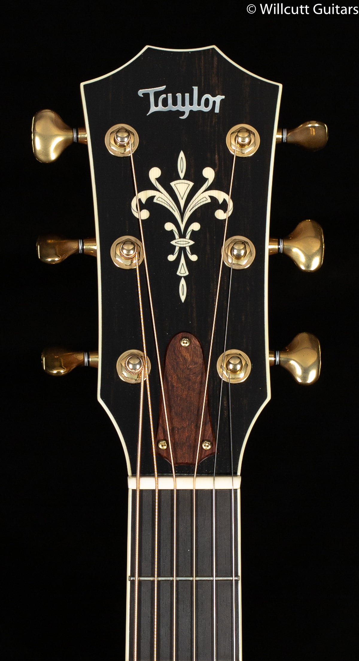 Taylor Willcutt Acoustic Suites Special Edition GAce Cocobolo (143)