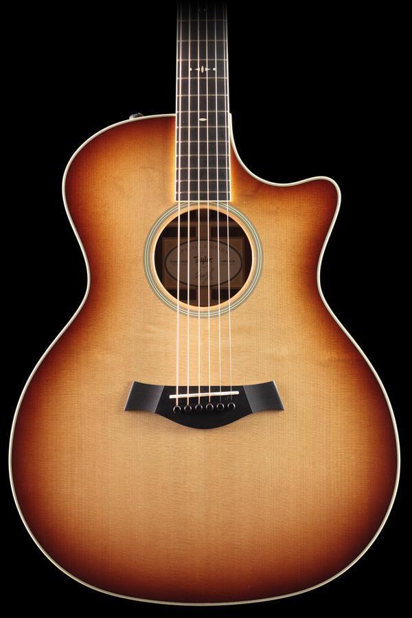 Taylor Willcutt Acoustic Suites Special Edition GAce Cocobolo (134)