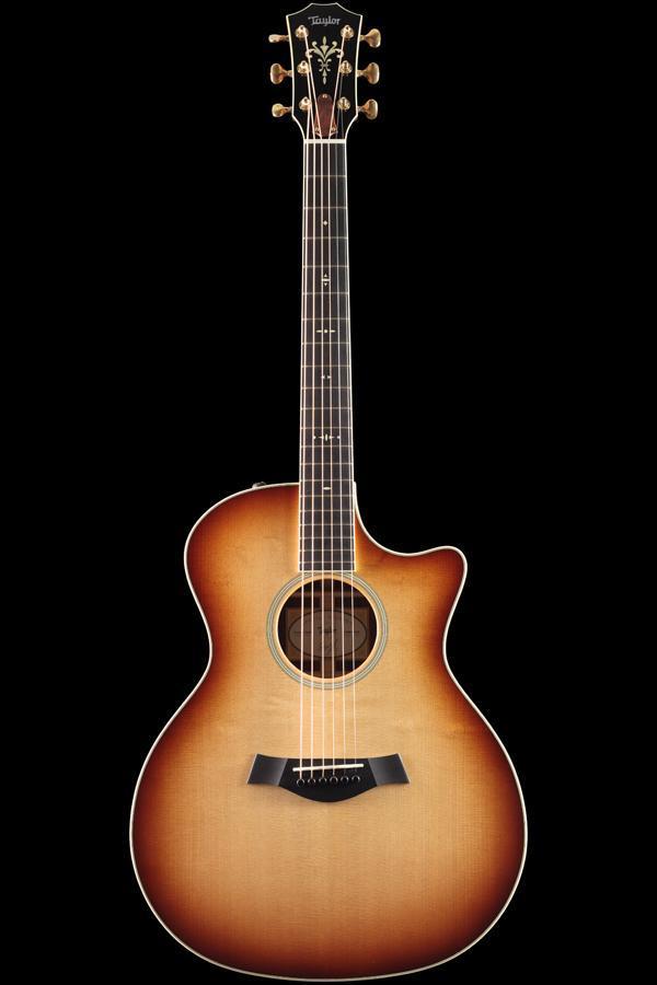 Taylor Willcutt Acoustic Suites Special Edition GAce Cocobolo (134)