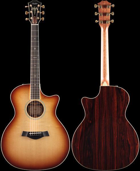 Taylor Willcutt Acoustic Suites Special Edition GAce Cocobolo (134)