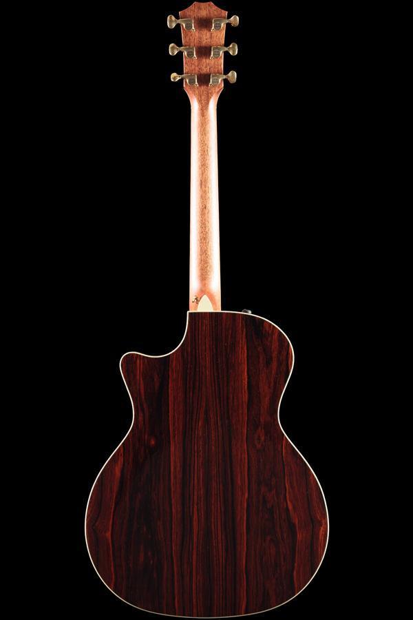 Taylor Willcutt Acoustic Suites Special Edition GAce Cocobolo (134)