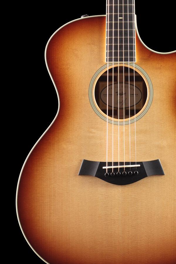 Taylor Willcutt Acoustic Suites Special Edition GAce Cocobolo (134)