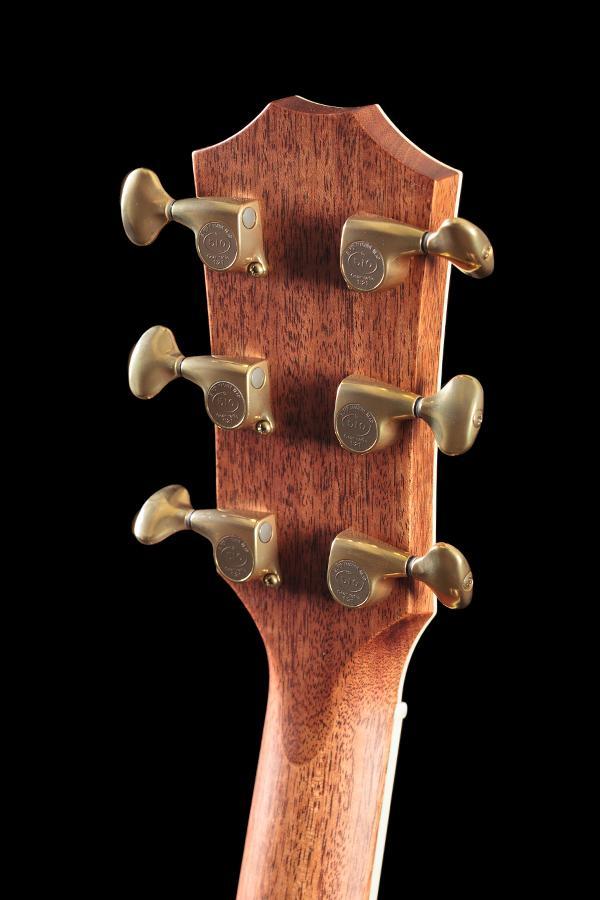 Taylor Willcutt Acoustic Suites Special Edition GAce Cocobolo (134)