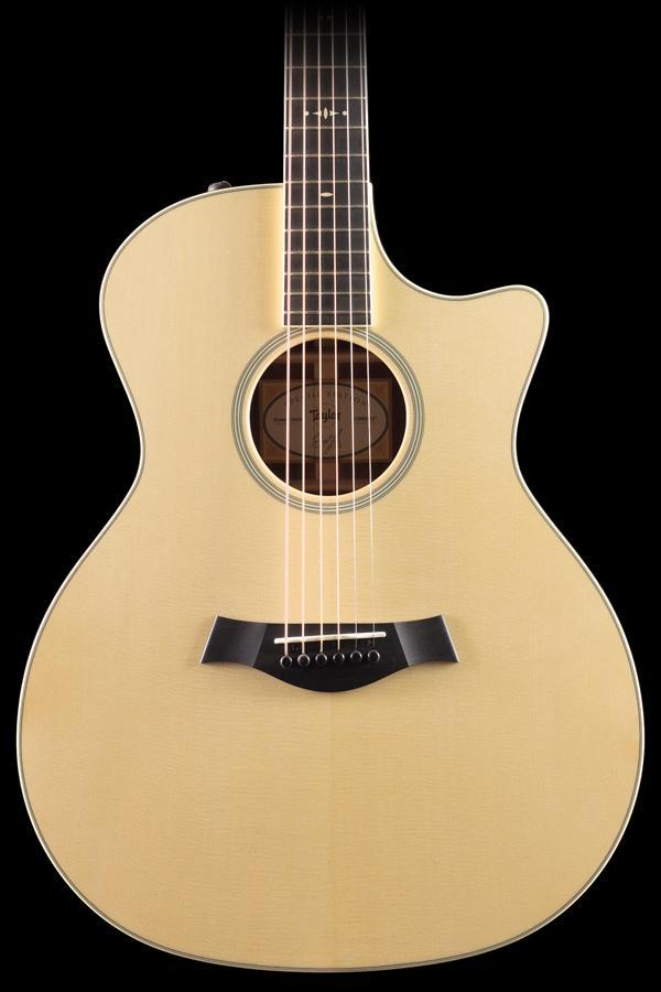 Taylor Willcutt Acoustic Suites Special Edition GAce Cocobolo (137)